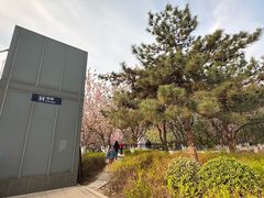 -元大都城垣遗址公园