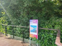 -济州森林小火车生态公园