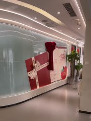 -联合丽格·张菡丽格医疗美容