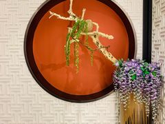 门面-圆苑(金茂店)