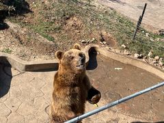 -无锡动物园·太湖欢乐园