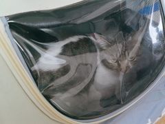 -宠颐生中康贝怡动物医院