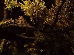 -四川大学(华西校区)