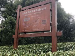 -西湖风景区十里琅珰-五云山