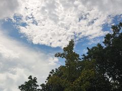 -上海佘山国家森林公园天马山园