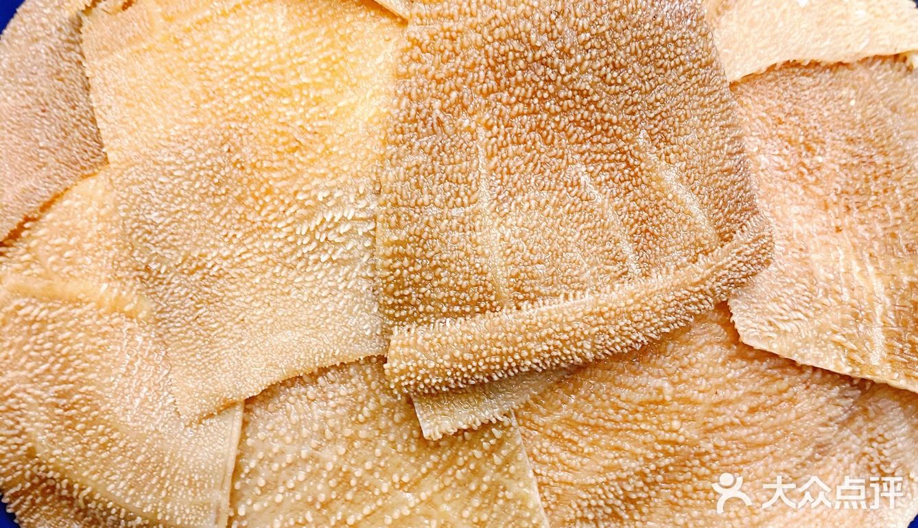 传统艺术盆栽和海鲜的完美融合体,海鲜盆栽,你吃过吗?