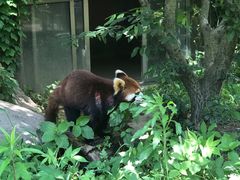 -宁波野生动物园