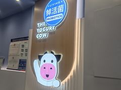 -一只酸奶牛(春熙路店)
