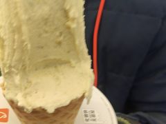 -野人先生Gelato(上海长宁龙之梦店)