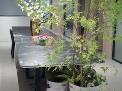 -点石家装(总部旗舰店)