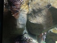 -锦艺城海洋馆
