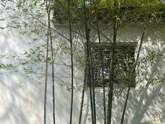-拙政园