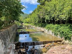 -广州白江湖森林公园