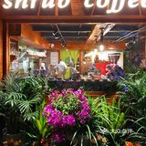 贵阳探店｜夏天在大露台喝咖啡真的很舒服 ☕️