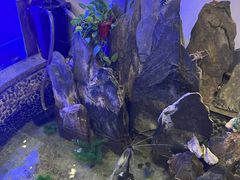 -乡味土菜馆(姑孰镇东营社区卫生服务站东南)