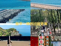 -杨梅坑