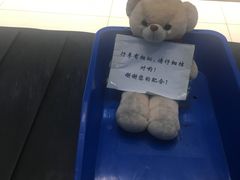 -丽江三义国际机场