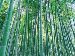 -汇龙潭
