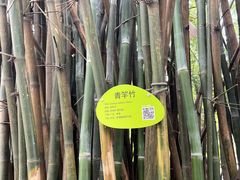 -晓港公园