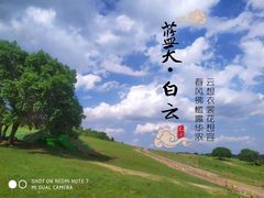 -乌兰布统草原