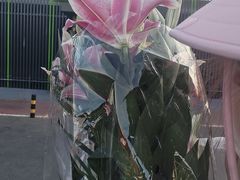 -三旗百汇商品城