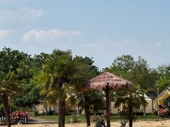 -鹅湖玫瑰文化园