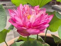 -李叔同故居纪念馆