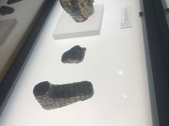 -临沂市博物馆