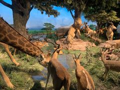 -国家自然博物馆