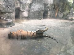 -南昌动物园