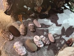 -吉田美学化妆美甲摄影培训(丽水校区)