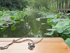-滕州微山湖红荷湿地景区