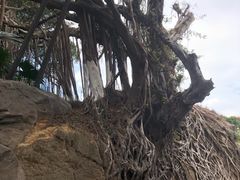 -八卦楼风琴博物馆
