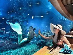 -海棠湾洲际-涛·海底餐厅·美人鱼·自助餐·海底隧道