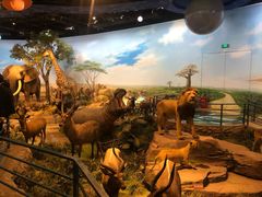 -陕西自然博物馆