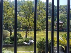 -云溪植物园