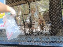 -长白岛森林公园