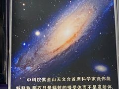 -志强陨石馆(双季花艺店)