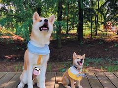 -上海海湾国家森林公园