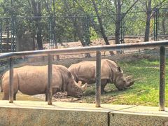 -大连森林动物园