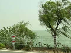 -古尚锦酒楼·水上餐厅