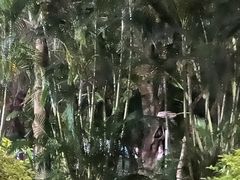 -火炉山森林公园