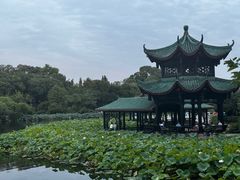 -桂湖森林公园