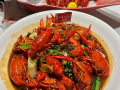 -杨氏青龙虾·羊蝎子(托乐嘉店)