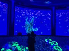 -沈阳海洋探索中心