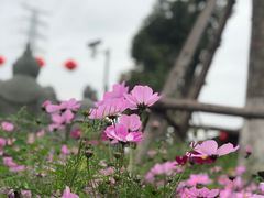 -仙岳公园
