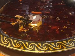 -三道苗苗鱼·美蛙黄辣丁(八里店)