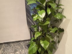 -麦子MaiMassage(打浦桥店)