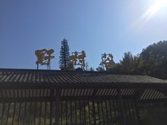 -黄陂区野村谷景区