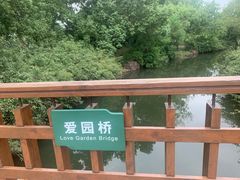-上海滨江森林公园